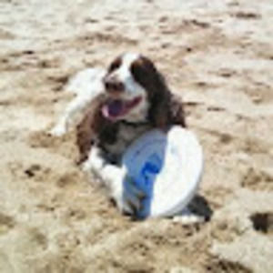 Meet your Posher, Marcella